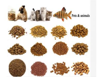خطوط تولید غذای خشک حیوانات خانگی